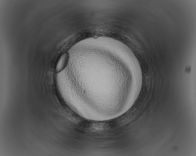 X0000090900757200708270944