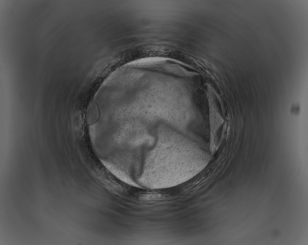 X0000090900759200708270944