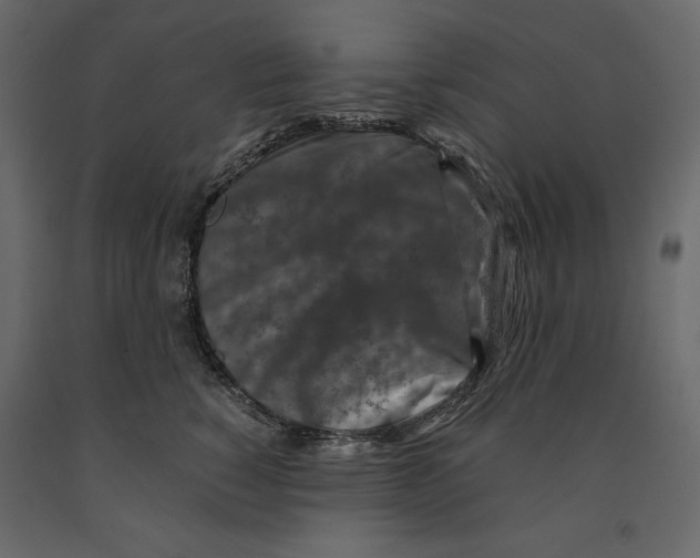 X0000090900760200708270944
