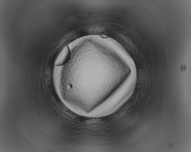 X0000090900761200708270944
