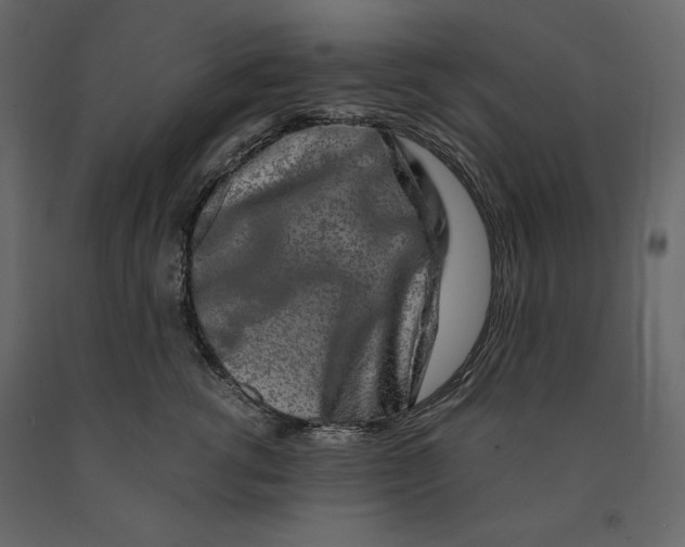 X0000090900762200708270944
