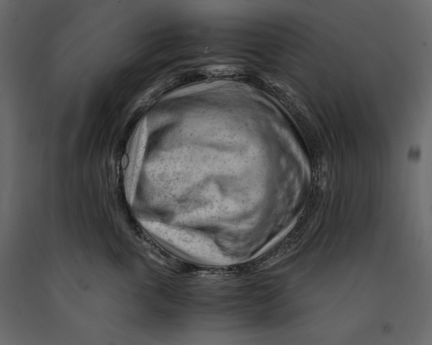 X0000090900763200708270944