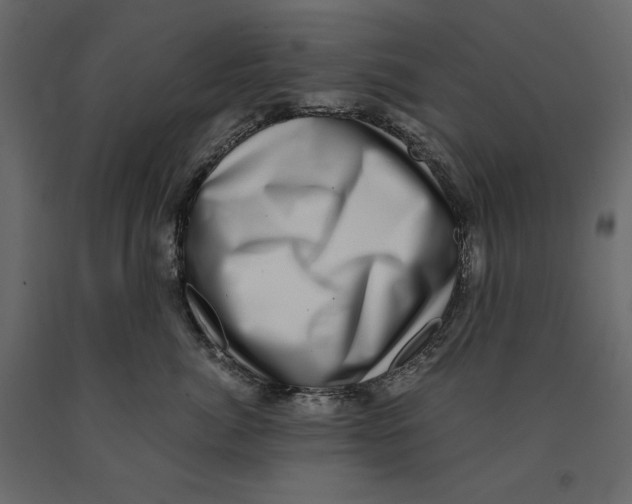 X0000090900764200708270944