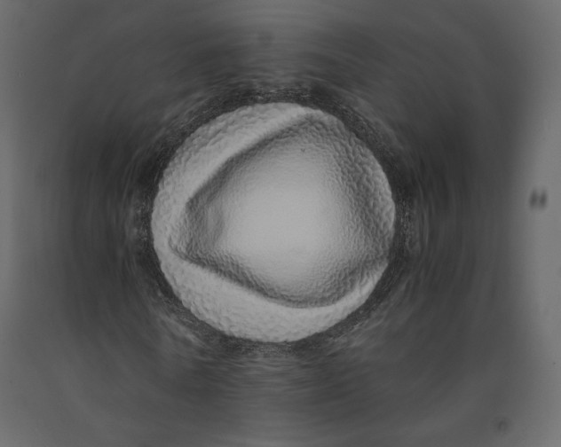 X0000090900770200708270943