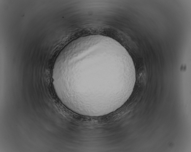 X0000090900772200708270943