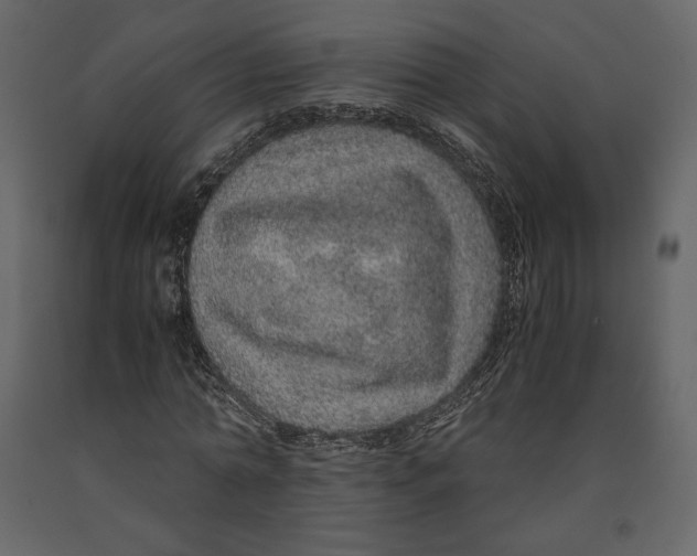 X0000090900774200708270943
