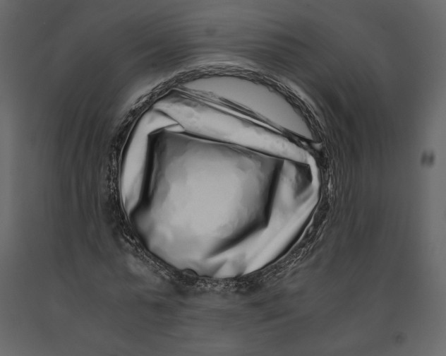 X0000090900775200708270943