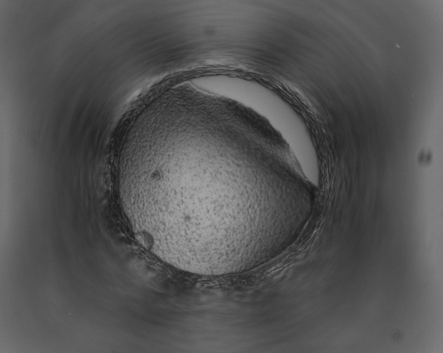 X0000090900776200708270943