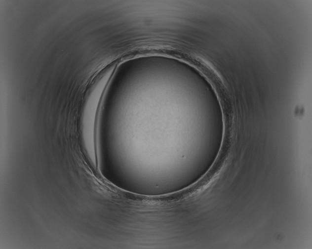 X0000090900777200708270943