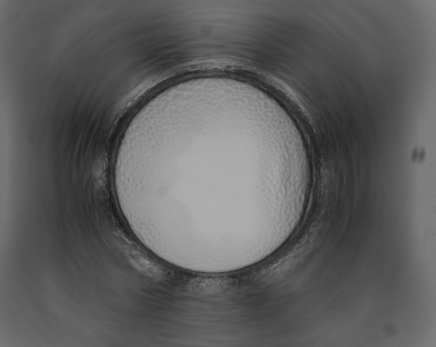 X0000090900778200708270943