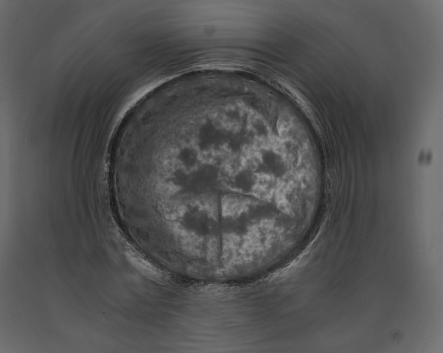 X0000090900779200708270943