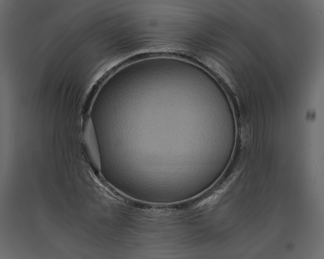 X0000090900781200708270943