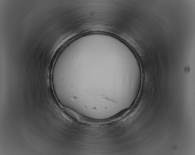 X0000090900782200708270943