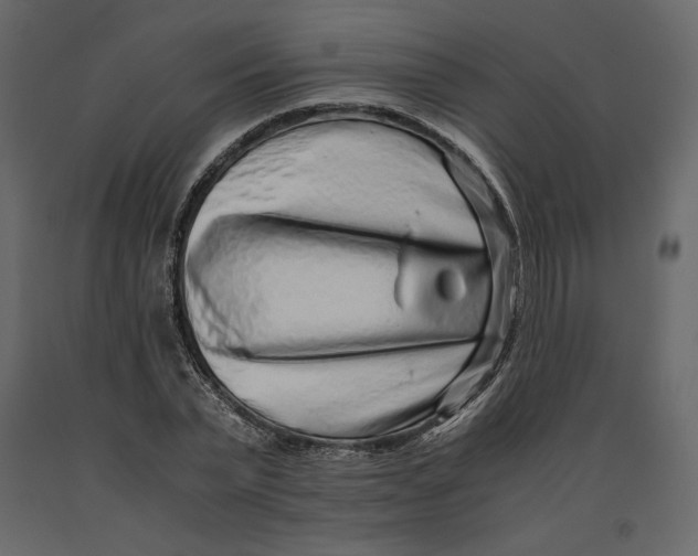 X0000090900783200708270943