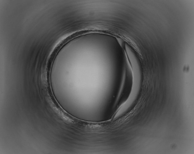 X0000090900784200708270943