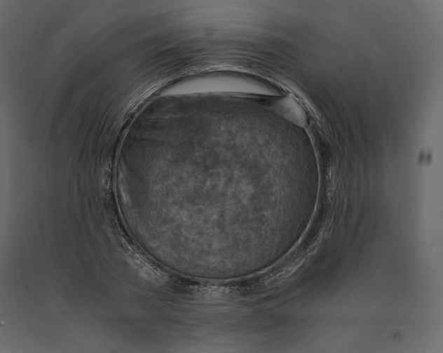 X0000090900785200708270943