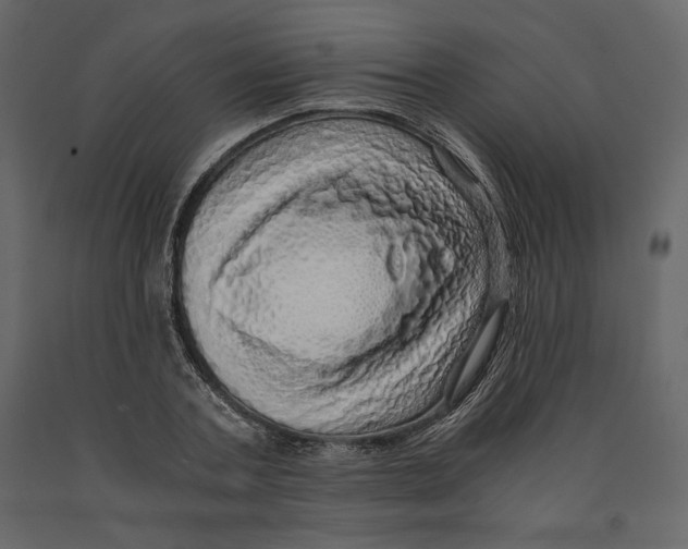 X0000090900787200708270943