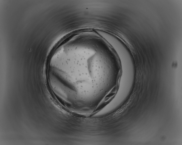 X0000090900788200708270943