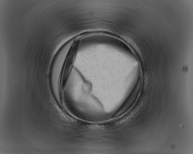 X0000090900789200708270943