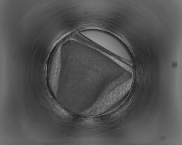X0000090900790200708270943