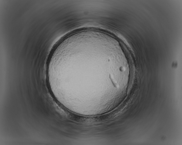 X0000090900791200708270943