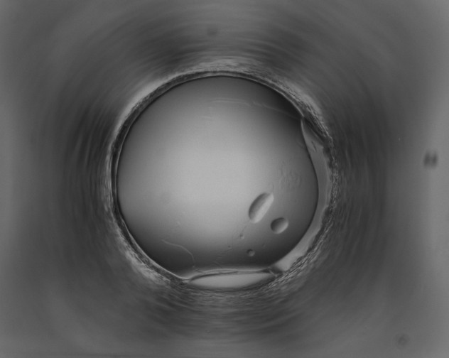 X0000090900792200708270943