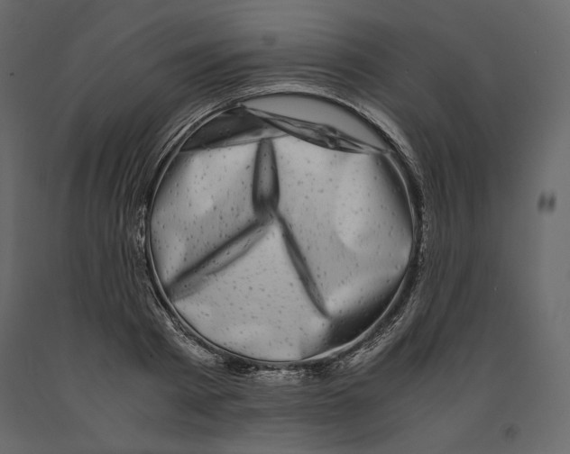 X0000090900793200708270943