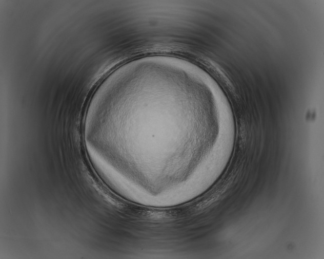 X0000090900794200708270943