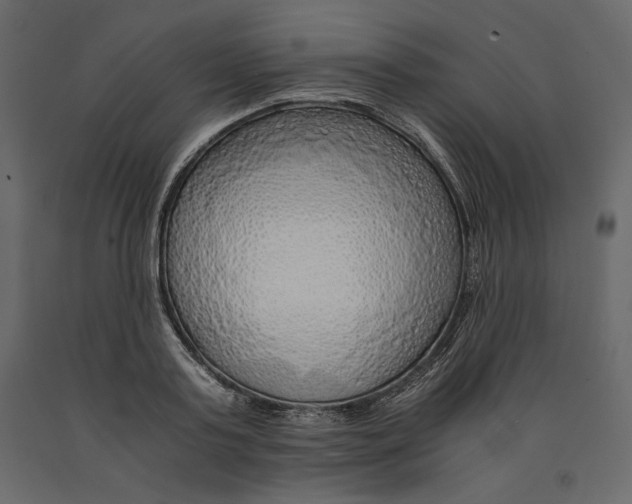 X0000090900795200708270943