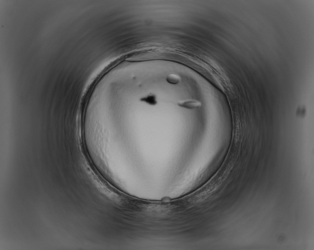 X0000090900796200708270943