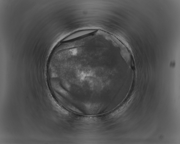 X0000090900797200708270943