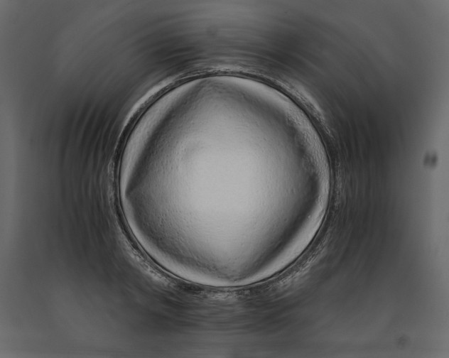 X0000090900798200708270943
