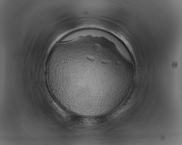 X0000090900799200708270943