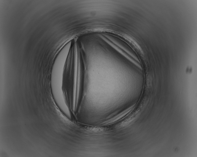X0000090900801200708270943