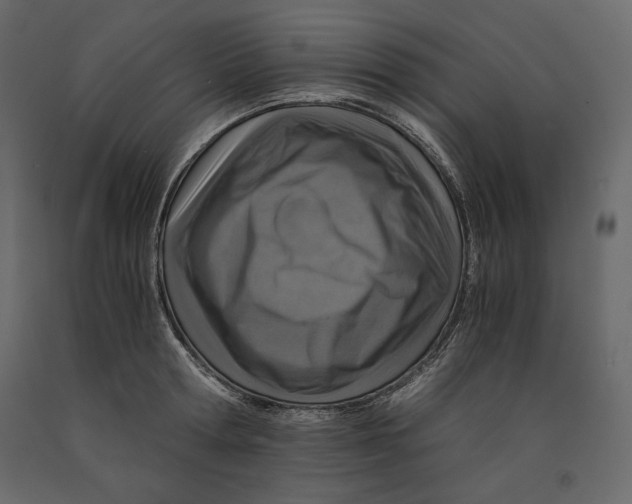 X0000090900802200708270942