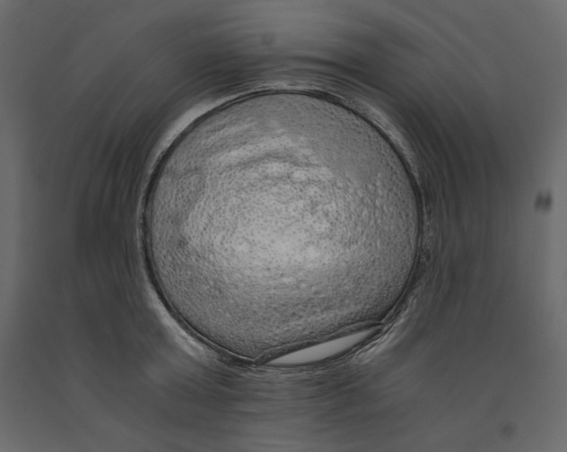 X0000090900803200708270942