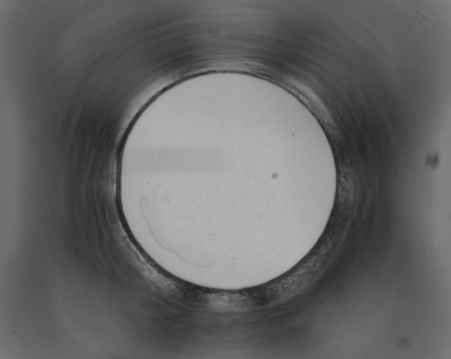 X0000090900804200708270942