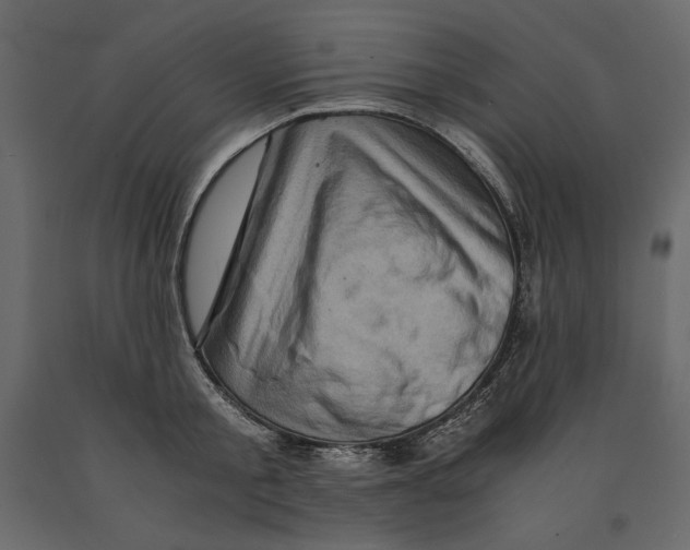 X0000090900805200708270942