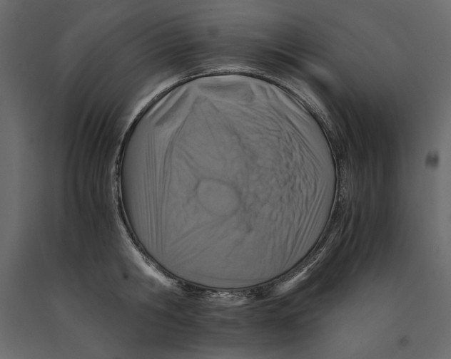 X0000090900806200708270942