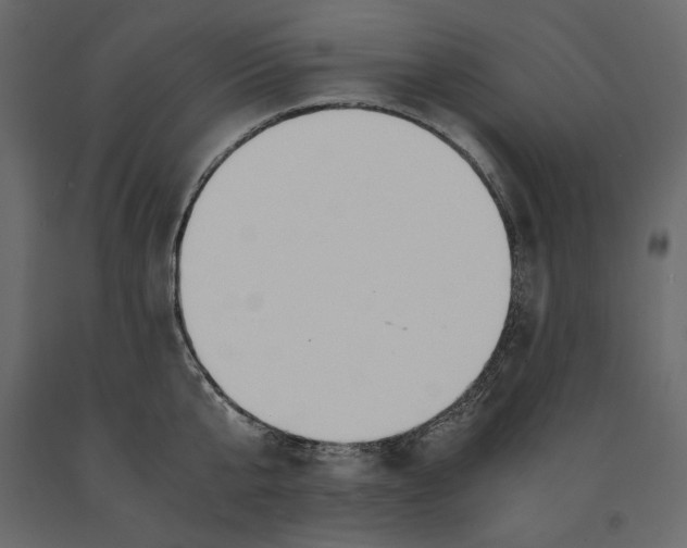 X0000090900807200708270942