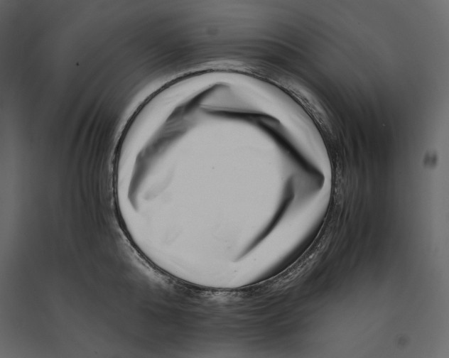 X0000090900808200708270942