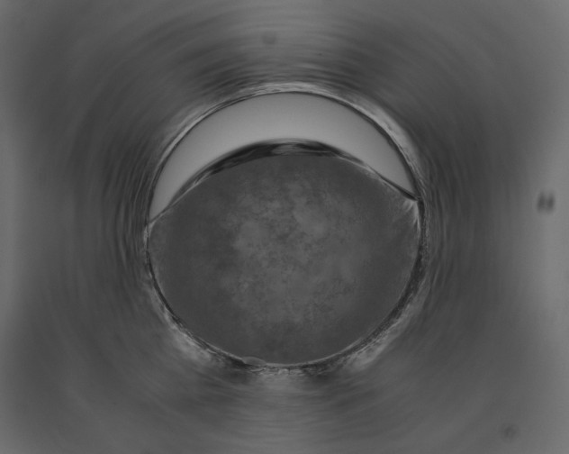 X0000090900809200708270942