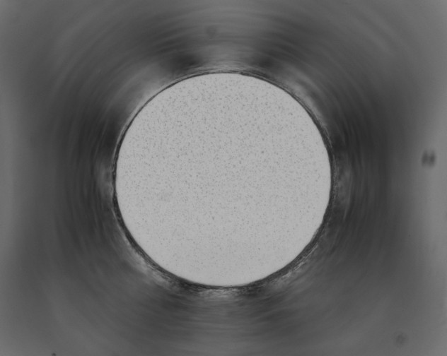 X0000090900810200708270942