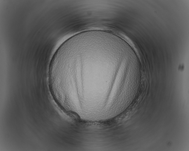 X0000090900811200708270942