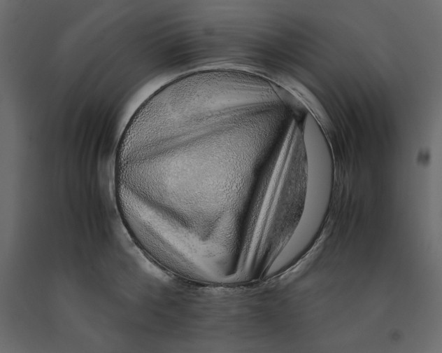 X0000090900812200708270942