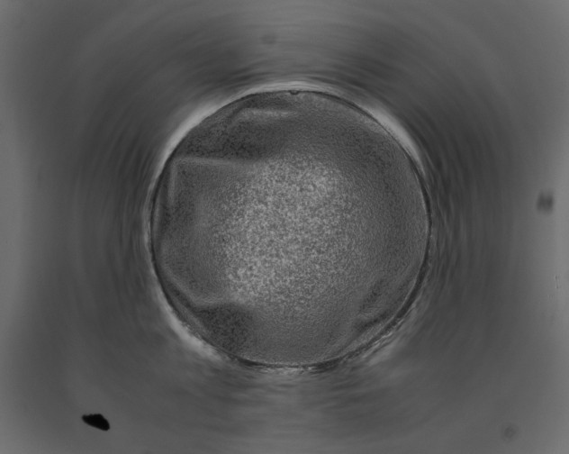 X0000090900813200708270942