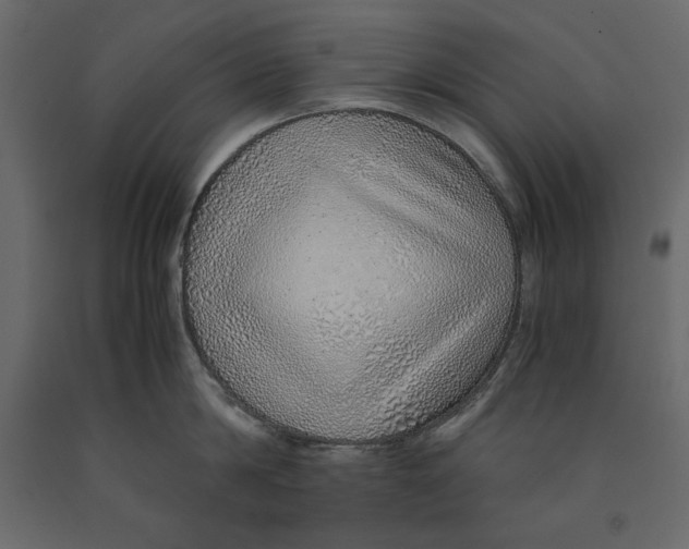 X0000090900814200708270942