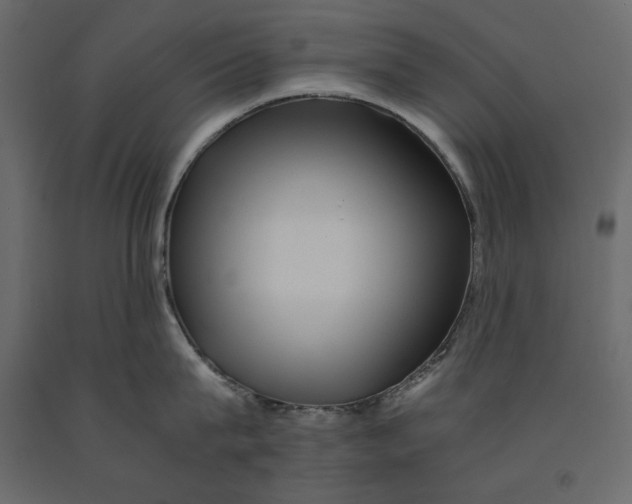 X0000090900815200708270942