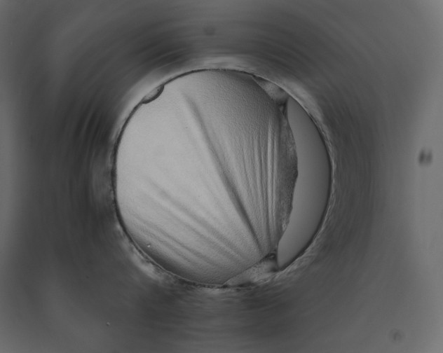 X0000090900816200708270942