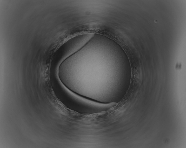 X0000090900818200708270942